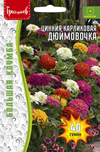 Цинния Дюймовочка карликовая купить