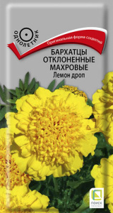 Бархатцы Лемон дроп откл. махр. купить