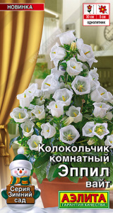 Колокольчик комнатный Эппил вайт / Зимний сад купить