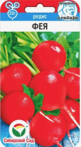 Редис Фея купить