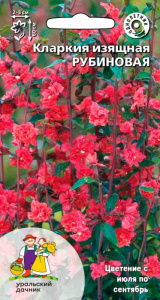 Кларкия Рубиновая изящная купить
