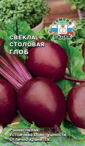 Свекла Глоб F1  купить