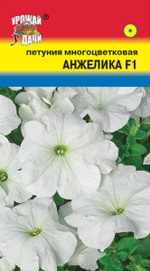 Петуния Анжелика F1  купить