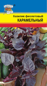 Базилик Карамельный Фиолетовый  купить