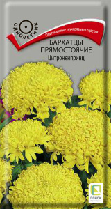 Бархатцы Цитроненпринц прямостоячие купить