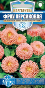 Маргаритка Фрау Персиковая  гран. пробирка   купить