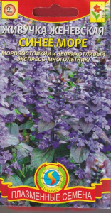 Живучка женевская Синее море  купить