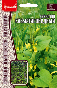 Кирказон Клематисовидный купить
