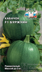 Кабачок Буржуин  купить