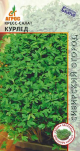 Кресс-салат Курлед  купить