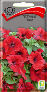 Петуния Пламя купить