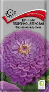 Цинния Фиолетовая королева георгиноцветковая  купить