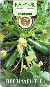 Кабачок Президент F1 купить