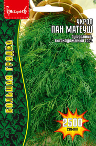 Укроп Пан Матеуш (быстроотрастающий) купить