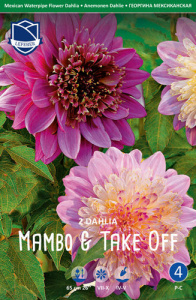 Смесь георгин Mambo & Take off /2шт купить