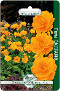 Геум махровый Санрайз купить