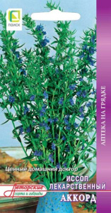 Иссоп лекарственный Аккорд купить