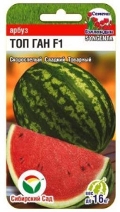 Арбуз Топ Ган F1 Syngenta  купить
