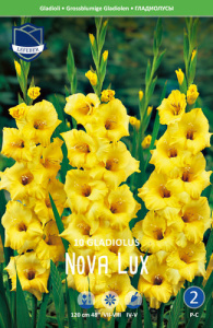 Гладиолус XXL Nova Lux 14/16 /10шт купить