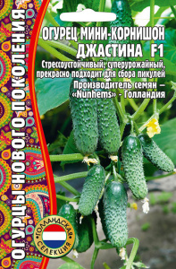 Огурец Джастина F1 мини-корнишон  купить