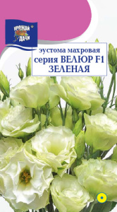 Эустома Велюр F1 Зеленая махровая купить