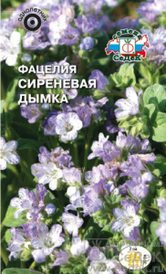 Фацелия Сиреневая дымка  купить