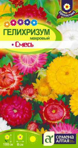 Гелихризум Махровый Смесь  купить