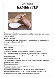 Лук Бамбергер фото А5 купить
