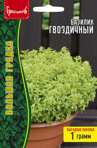 Базилик Гвоздичный купить