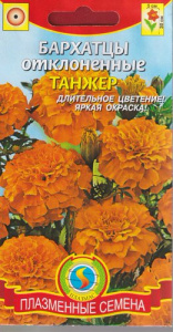 Бархатцы Танжер откл. купить