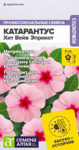 Катарантус Хит Вейв Эприкот купить