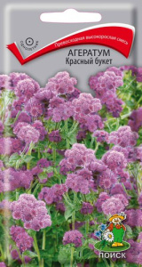 Агератум Красный букет купить