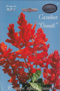 Сальвия Огонек/1шт купить