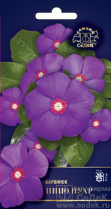 Барвинок (винка) Пино Нуар F1 купить