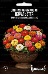 Цинния Джульетта смесь карликовая (Juliette Mix) купить