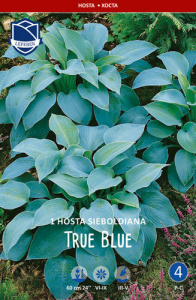 Хоста sieboldiana True Blue /1шт купить
