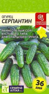 Огурец Серпантин  купить