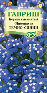 Лимониум темно-синий купить