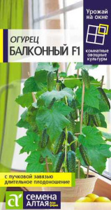 Огурец Балконный F1  купить