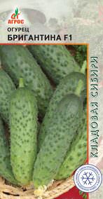 Огурец Бригантина F1 10шт купить