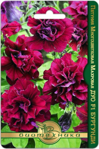 Петуния Дуо F1 Бургунди махр.многоцв. купить