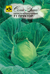 Капуста Пруктор F1 купить