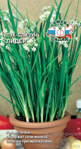 Лук (слизун) Лидер многолетний  купить
