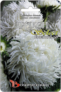 Астра Дракон селект Снежный  купить
