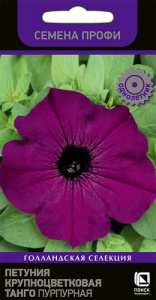 Петуния Танго F1 Пурпурная крупноцветковая  купить