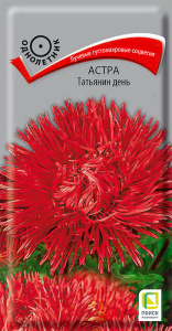 Астра Татьянин день купить