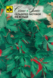 Сельдерей Нежный листовой купить