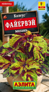 Колеус Файервэй мозаик купить