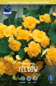 Бегония ампельная XXL Pendula YELLOW /3шт купить