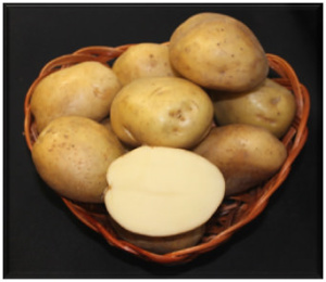 Картофель семенной Крепыш 1кг/20 купить